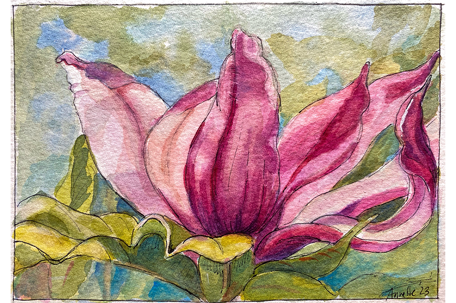 Annette Gurdo, Magnolia, watercolor and ink, 2023