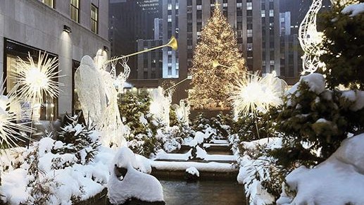Rockefeller Center, Another Tree in the center alongside many other trees covered in snow