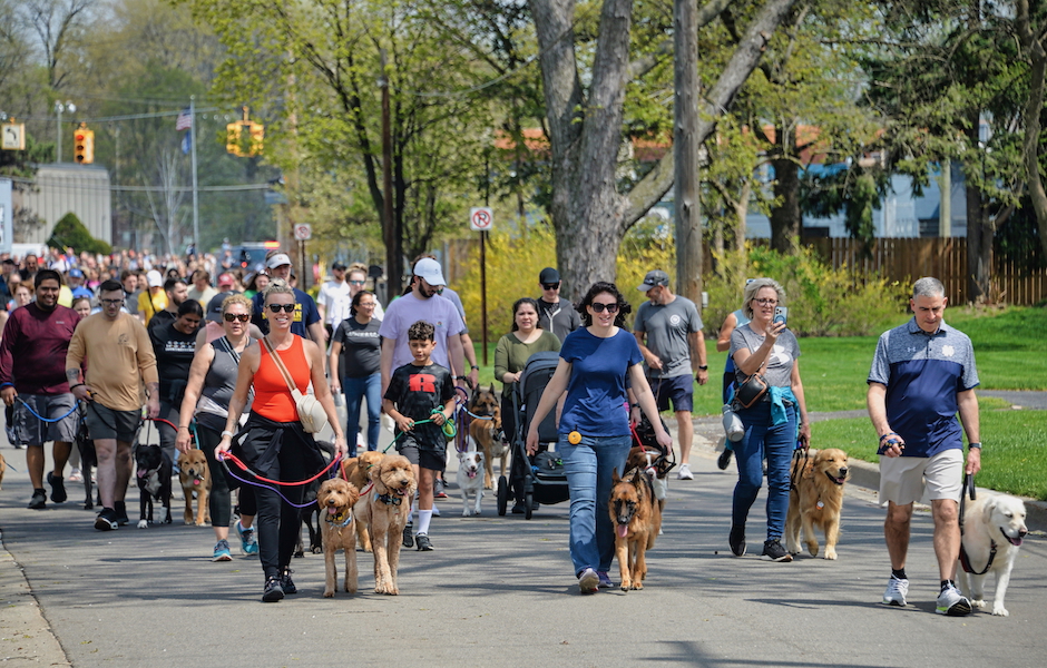 people walking dogs in a puppy parade on a city street