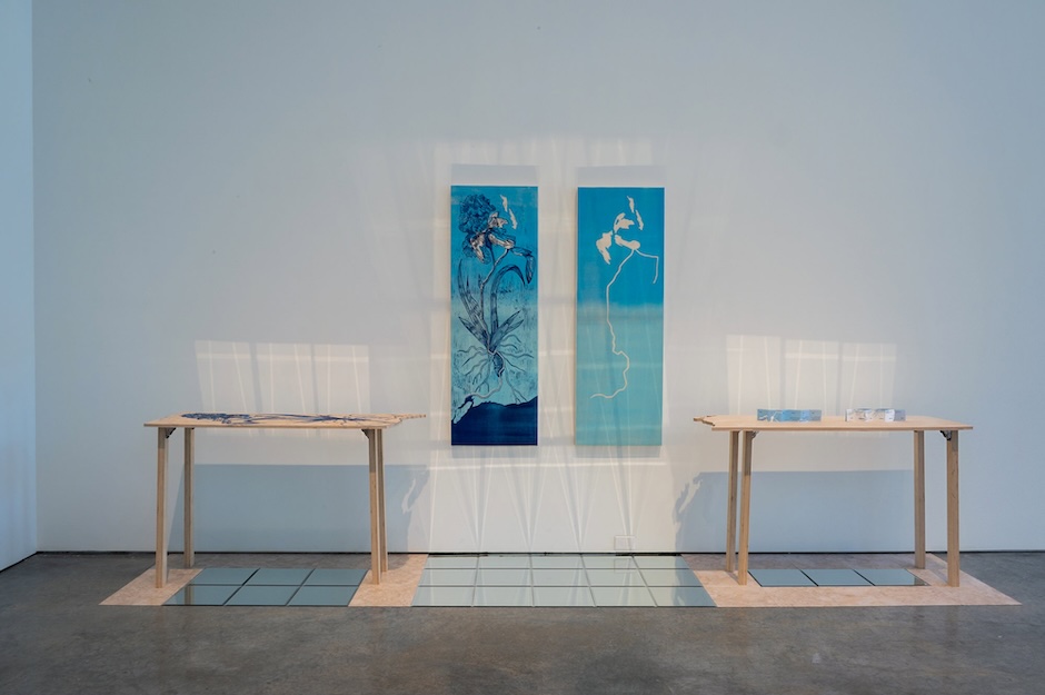 mixed media installation
