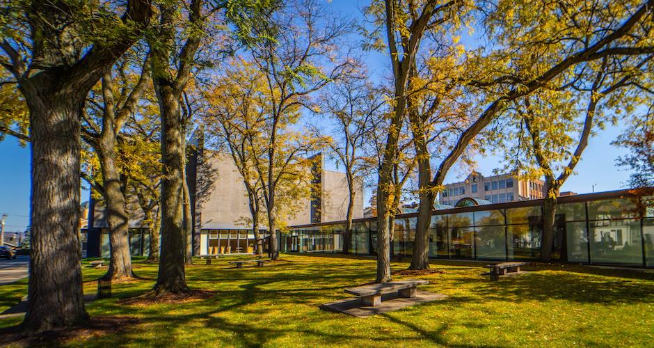 fall foliage for munson grounds