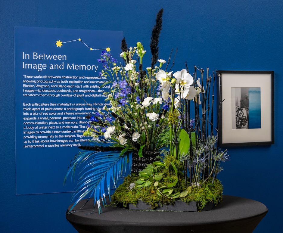 Floral Design Display