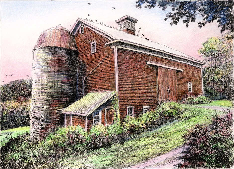 david oster pen drawing