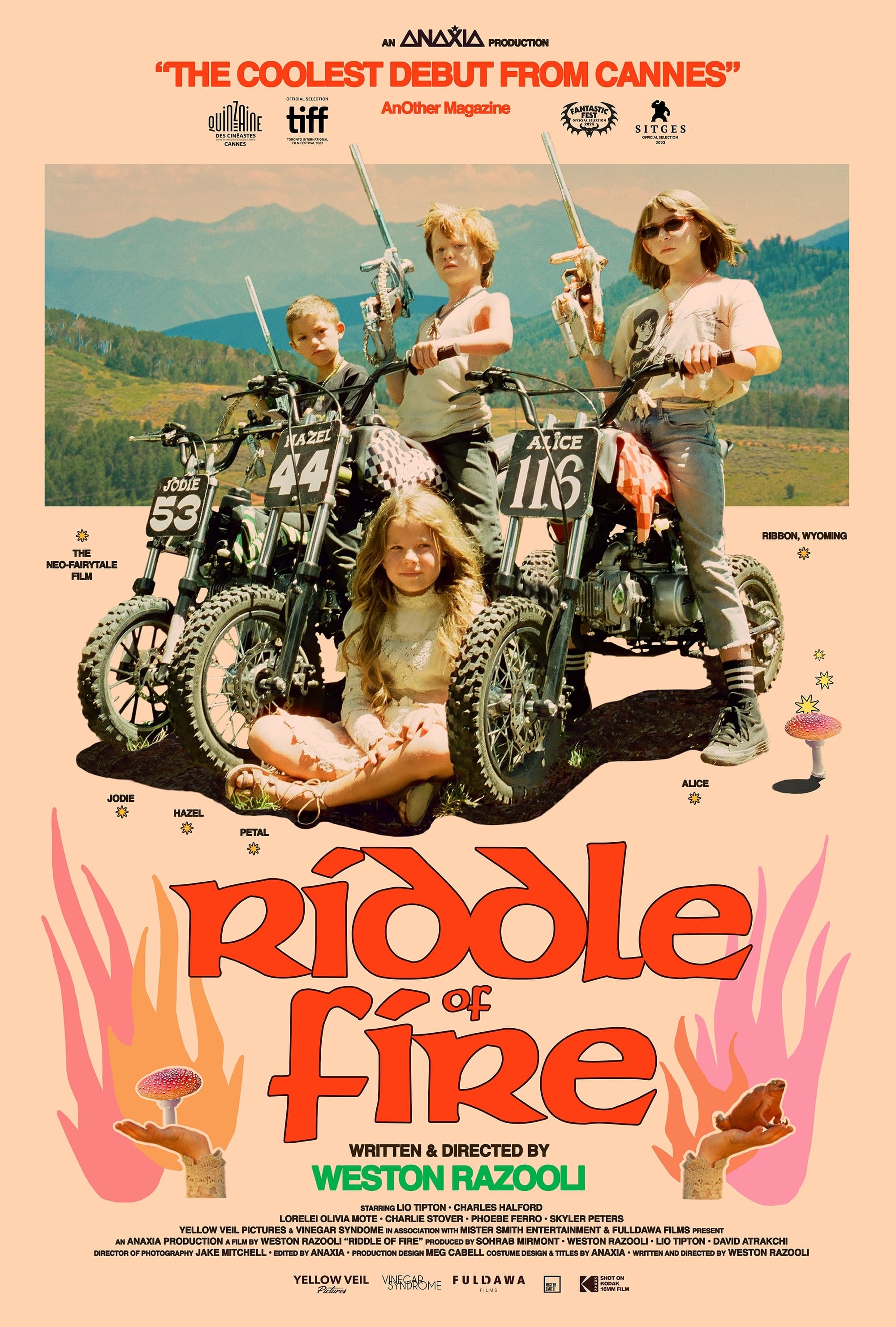 movie poster for Riddle of Fire