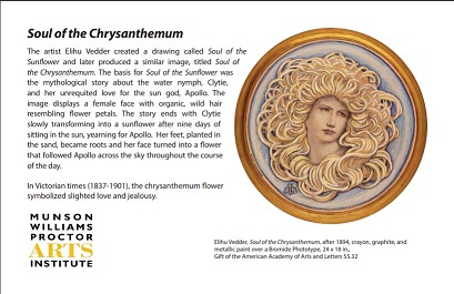 Soul of the Chrysanthemum