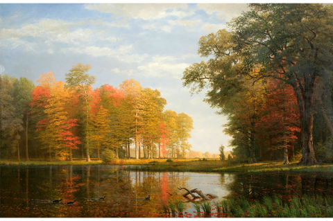 painting of lake and landscapes - Albert Bierstadt, Autumn Woods, 1886, Oil on linen, Overall (linen): 54 x 84 in. (137.2 x 213.4 cm), Framed: 64 3/4 in. × 7 ft. 10 3/4 in. × 3 1/4 in. (164.5 × 240.7 × 8.3 cm)